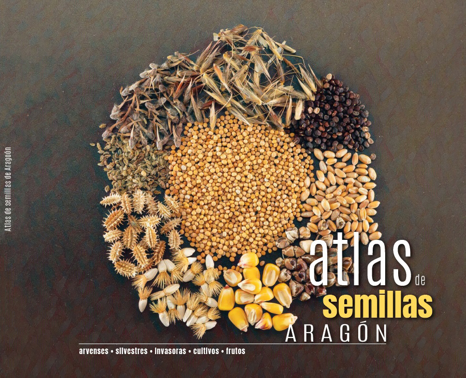 Atlas de semillas de Aragón