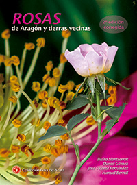 Rosas de Aragon